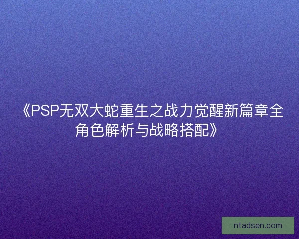 《PSP无双大蛇重生之战力觉醒新篇章全角色解析与战略搭配》