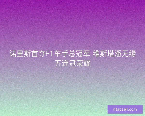 诺里斯首夺F1车手总冠军 维斯塔潘无缘五连冠荣耀