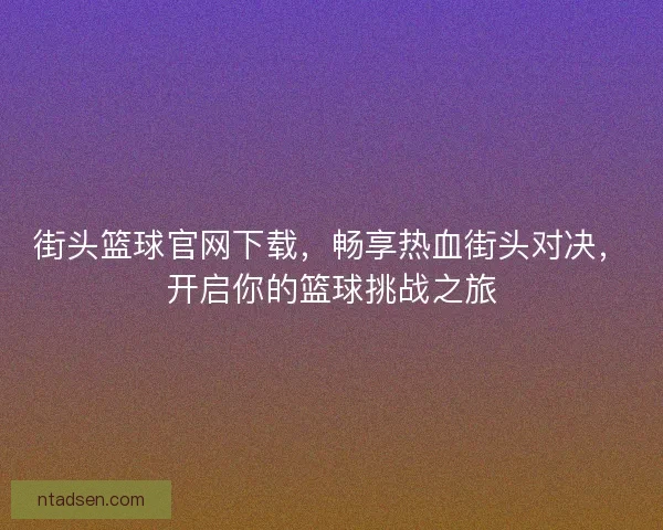 街头篮球官网下载,畅享热血街头对决,开启你的篮球挑战之旅 街头篮球官网下载,畅享热血街头对决,开启你的篮球挑战之旅