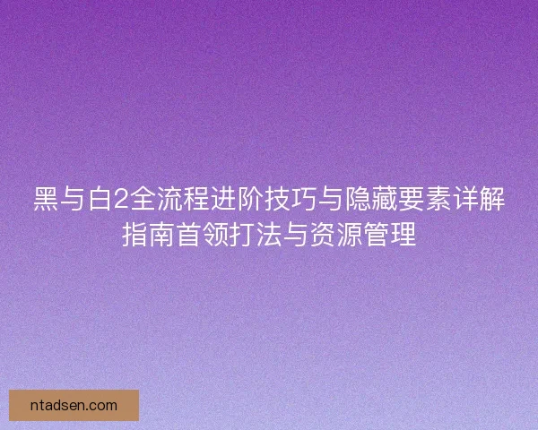黑与白2全流程进阶技巧与隐藏要素详解指南首领打法与资源管理